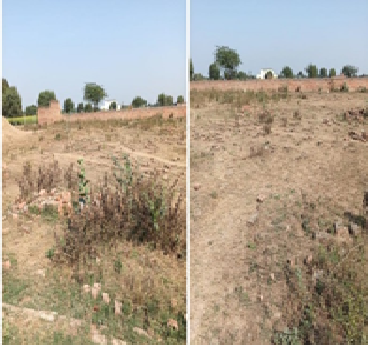 DUSHYANT POULTRY FARM 28262